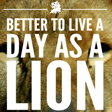 Better to Live a Lion